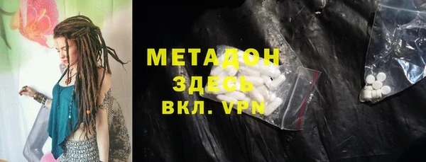 прущие грибы Богданович