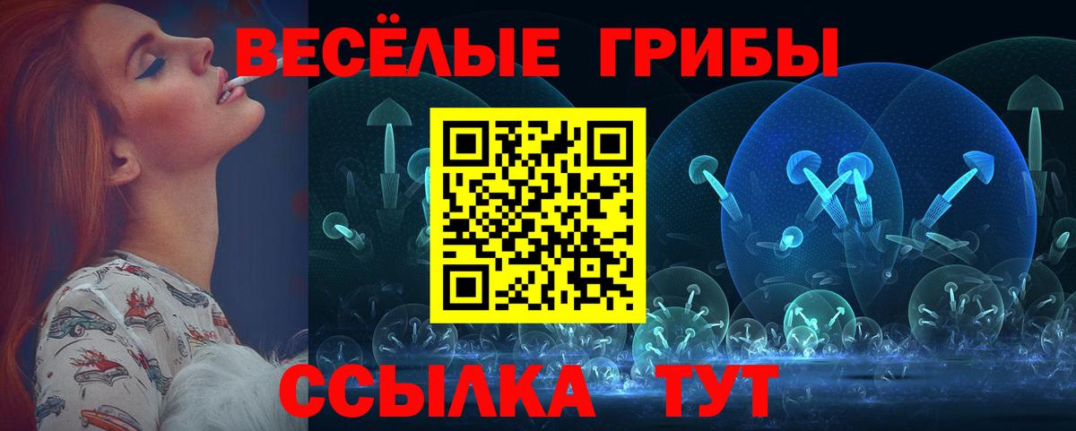 Новокубанск  Псилоцибиновые грибы Psilocybe  Псилоцибиновые грибы Psilocybine cubensis  Вход с VPN 