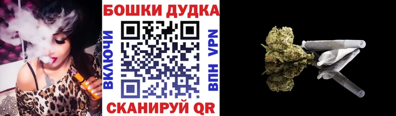 blacksprut ССЫЛКА Новокубанск Конопля ГИДРОПОН