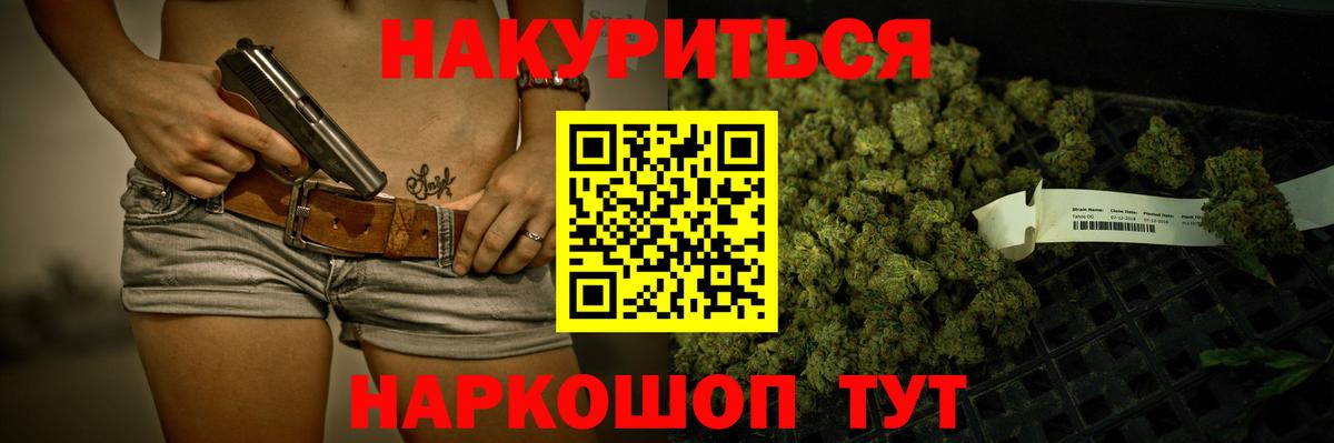 Каннабис конопля Новокубанск