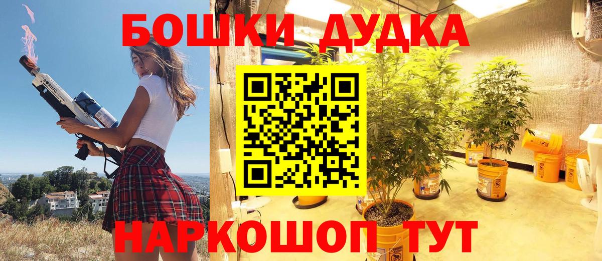 Новокубанск  Каннабис марихуана  Вход с VPN  Бошки Шишки White Widow  Бошки Шишки VHQ 